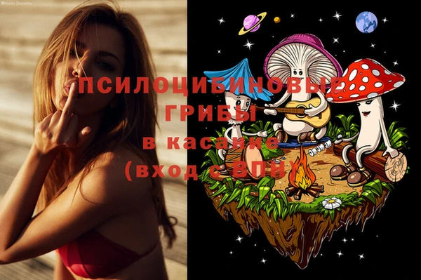 крисы Алзамай