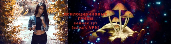 дживик Алексеевка