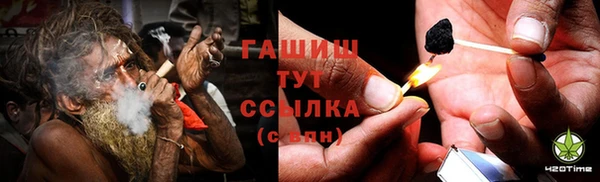 гидра Алексин
