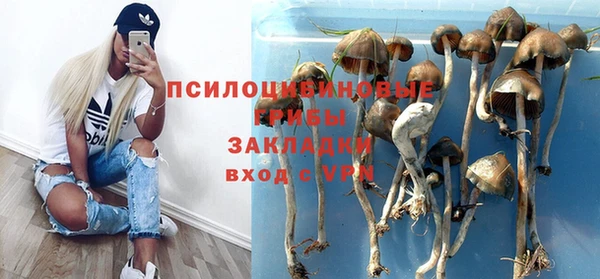 гидра Алексин