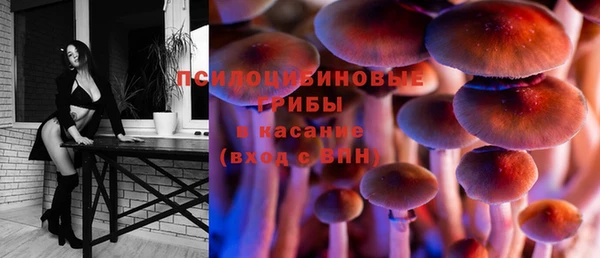 крисы Алзамай